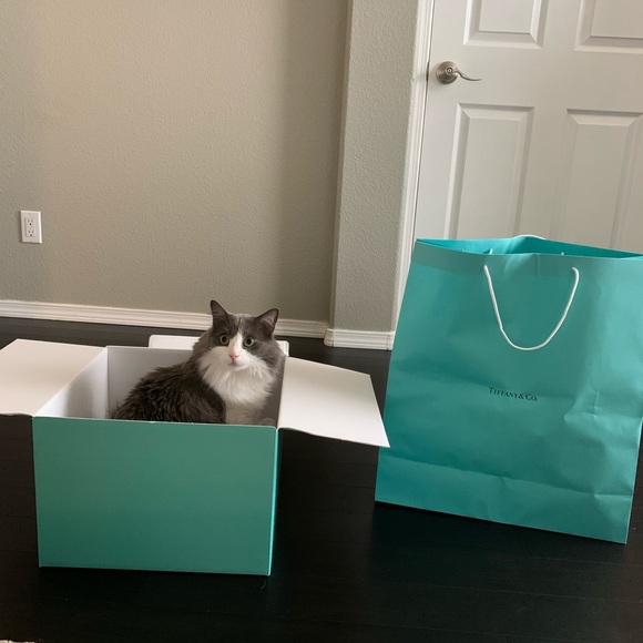 Meet your Posher, Catherine - Picture 3 of 3